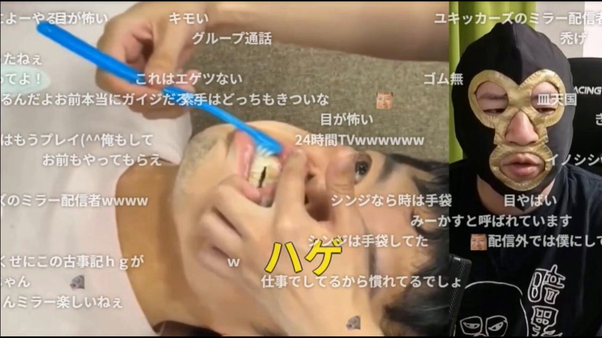 【マニア向け】歯磨きしてもらうぽんちゃんの映像を見てイライラする横山緑ｗ #横山緑 #ぽんちゃん