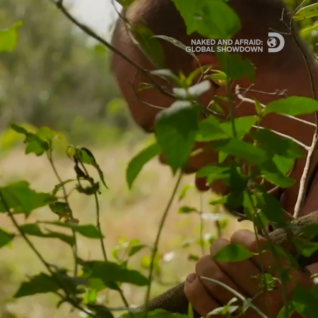You can't leave Zululand without any injuries...😬 #NakedAndAfraid: Global Showdown tomorrow at 8P on Discovery.