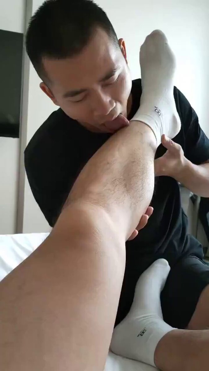 狗仔很听话，玩起来会很用心。