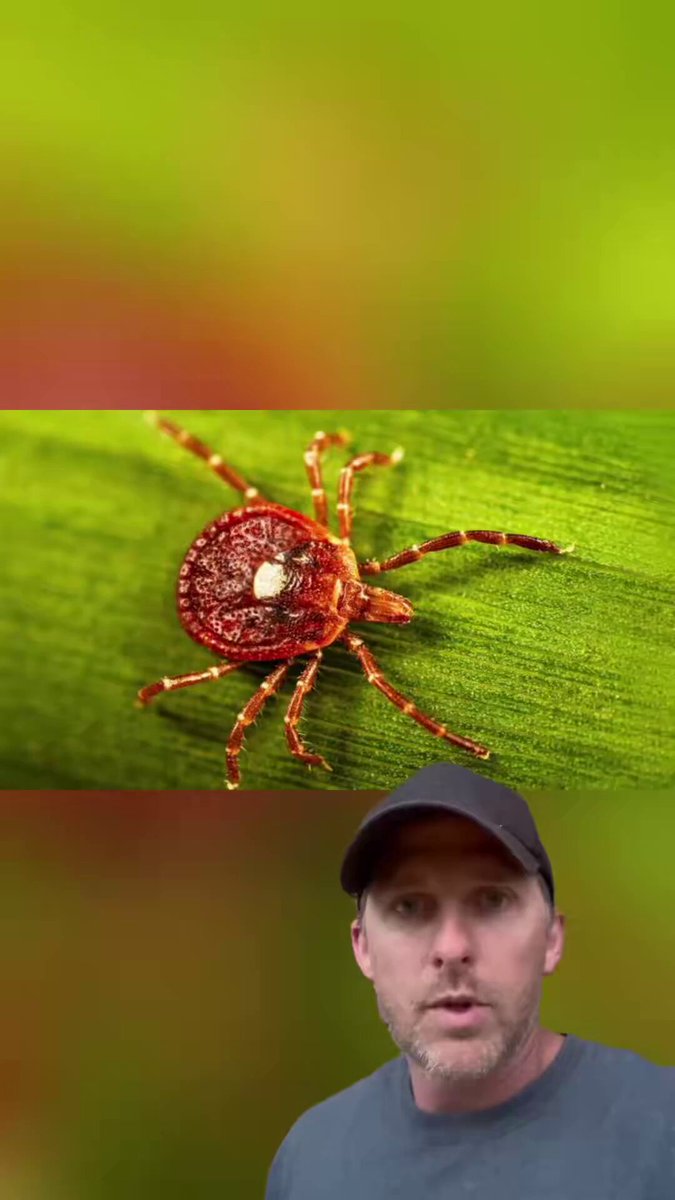 I’ve seen people talking about ticks but no one is really talking about the disease "Alpha Gal" that is spreading like wild fire all throughout Appalachia. This is the biggest health epidemic no one is talking about.