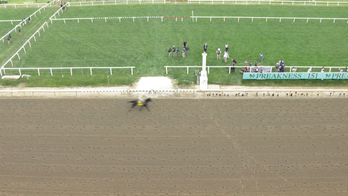 DOMINANT! NAPOLEON SOLO WINS THE PREAKNESS! 🏆