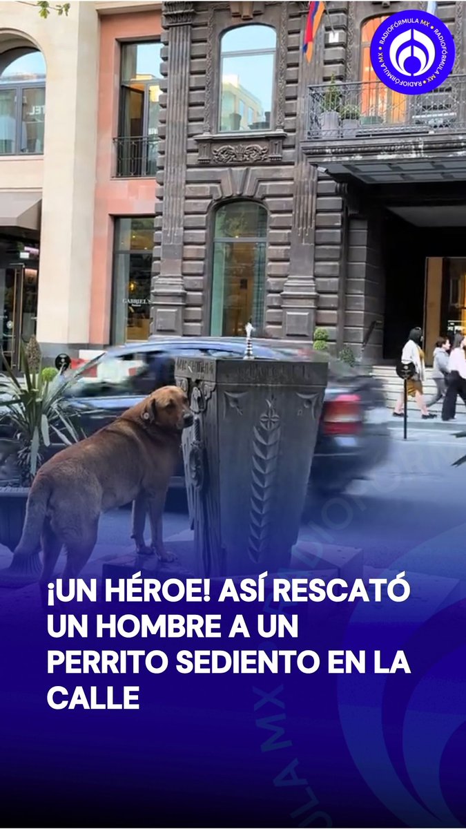 ¡Un héroe! 🦸 🐶 Un perrito trataba de tomar agua de un bebedero en la calle, pero estaba muy alto… cuando un hombre se acercó a su rescate. 🥺