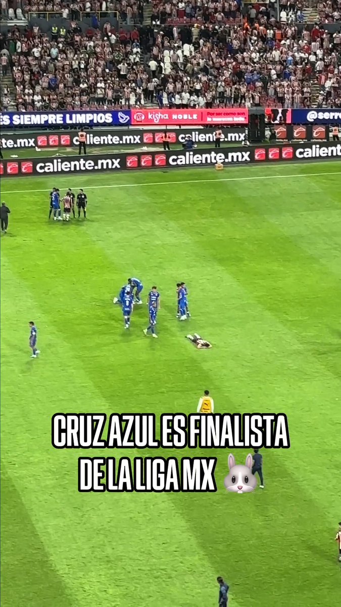 ¡FESTÉJENLO CELESTES! 🚂🔥 🐰 Cruz Azul derrota a Chivas y avanza a la Gran Final de la Liga MX.