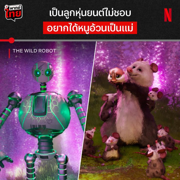 ไม่ดื้อ ไม่ซน เลี้ยงง่ายครับ หน้าไม่ตรงปกแบบนี้ เห็นทีต้องหาฝูงใหม่ จะมีใครอยากรับห่านน้อยตัวนี้ไปเลี้ยงมั้ย ไปดูได้แล้วพร้อม #พากย์ไทย ใน #TheWildRobot ที่ #NetflixTH ครับ