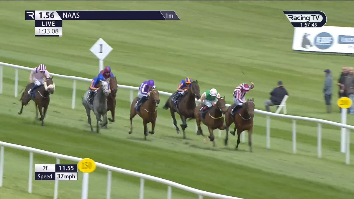 Nice .... ๐ ๐๐จ๐๐๐ฒ ๐๐๐๐๐ downs a strong field Naas Racecourse to bring up a three-timer for Noel Meade Racing ๐ฅ๐ฅ๐ฅ