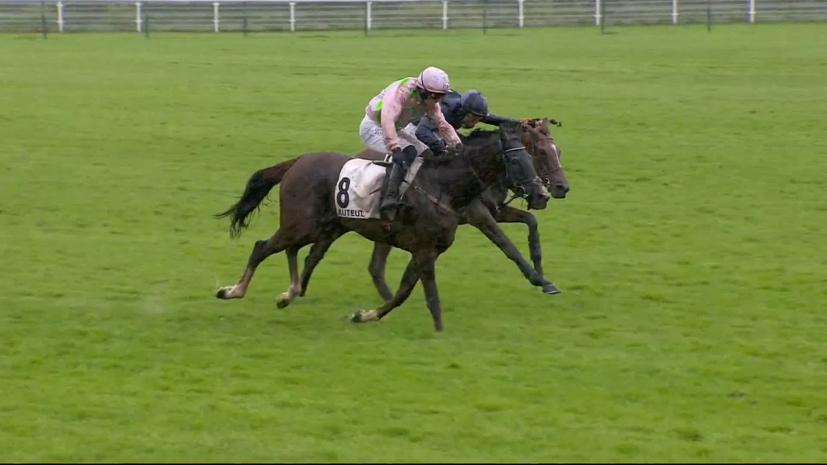 What a performance! SELMA DE VARY wins the Grade 1 Prix Alain du Breil! 🇫🇷 A fourth win in the race for Willie Mullins!