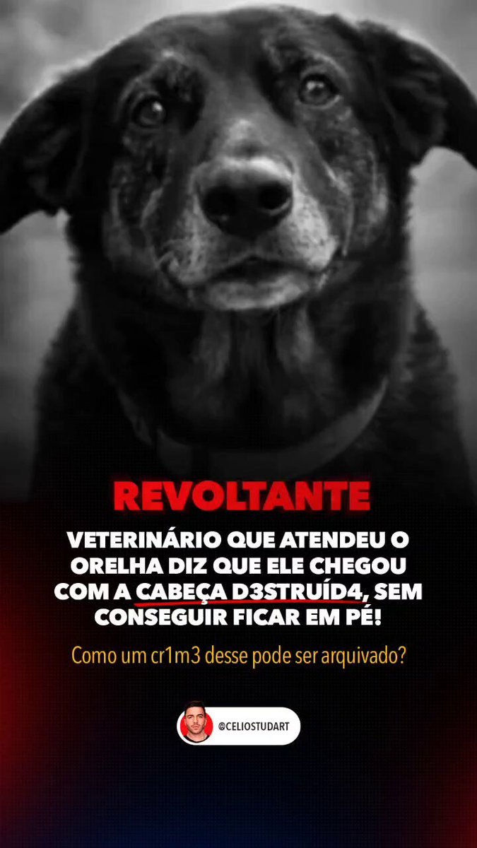 INACEITÁVEL! Depois do Ministério Público arquivar o caso do Orelha e afirmar que ele m0rreu de doenças pré-existentes, esse depoimento do veterinário que o atendeu veio à tona! Queremos justiça pelo Orelha! Cr1me hedi0ndo já!