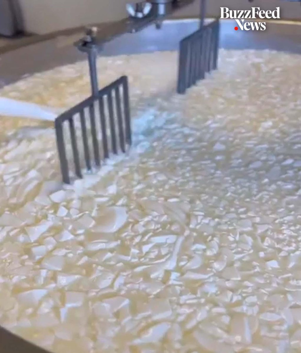 How Cheese Is Made