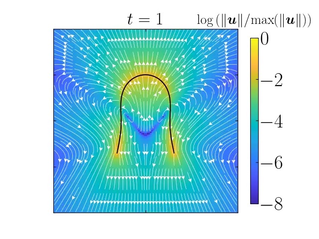 Deformable autophoretic filaments, otherwise immotile due to a uniform chemical profile, can self-propel via a buckling instability. Spontaneous shape changes break symmetry and enable motion, as shown by theory and simulations.