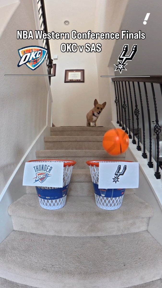 Air Corgi makes predictions for the Spurs-Thunder Western Conference Finals showdown 🍿