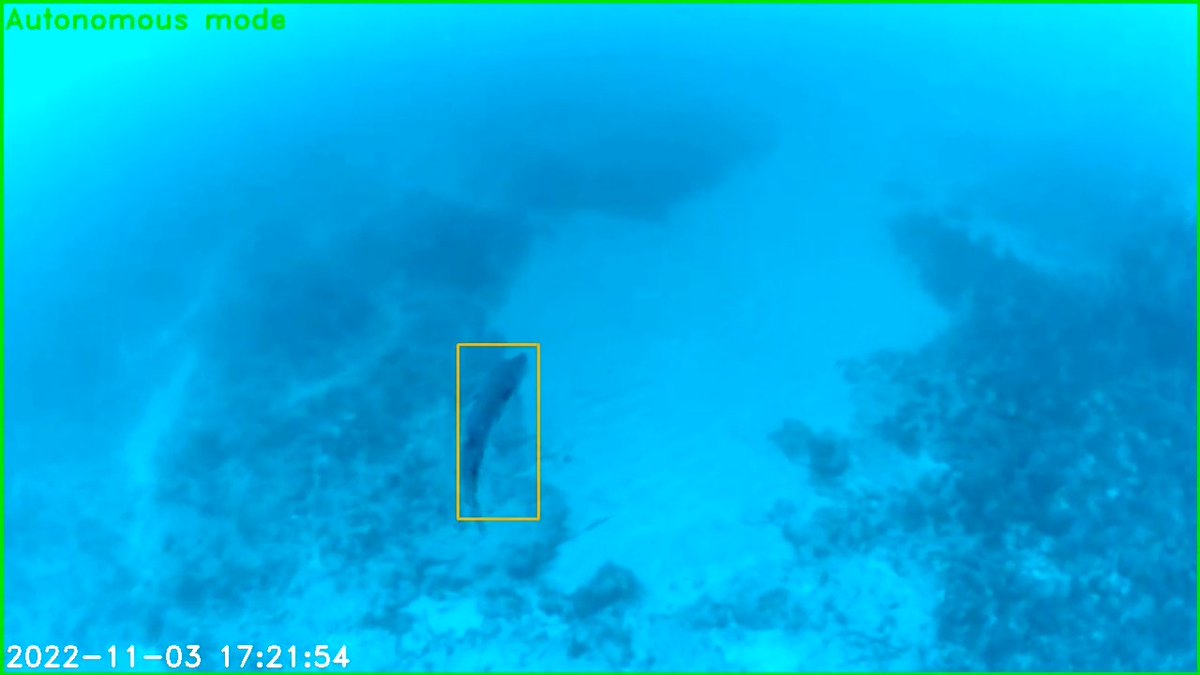 A new Science Robotics study highlights an autonomous approach that can characterize coral reef biodiversity, enabling an underwater robot to home in on snapping shrimp or follow a barracuda through Joel's Shoal.