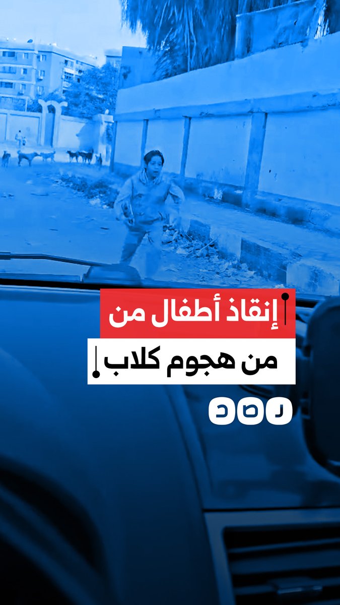 مواطن يتدخل بسيارته لإنقاذ أطفال بعد محاصرة الكلاب لهم في الشارع