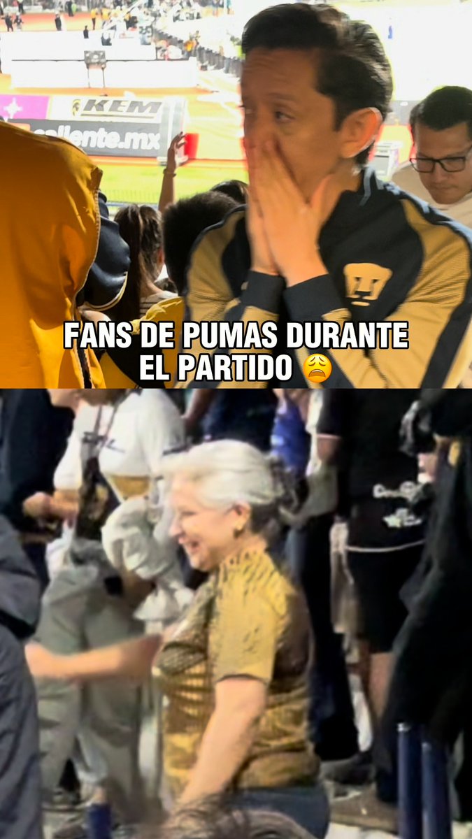Existen dos tipos de pumas en el mundo... Los que sufren y las que bailan 😅 ¿Con quién te identificas?