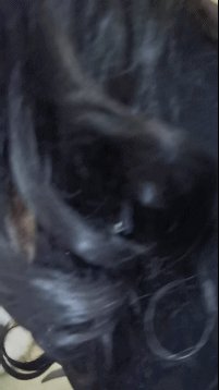 好多人都想看完整版的勾引外卖小哥哦~ 满足一下大家 这是超喜欢超级成功的一次经历哦，让外卖小哥帮忙送了一根超长的肛条，并当着外卖小哥的面用肛条自慰~ 小哥也非常主动，紧紧抱住我，差点把我勒晕过去~ #露出 #勾引 #尾巴 #肛塞 #肛条 #窒息 #项圈