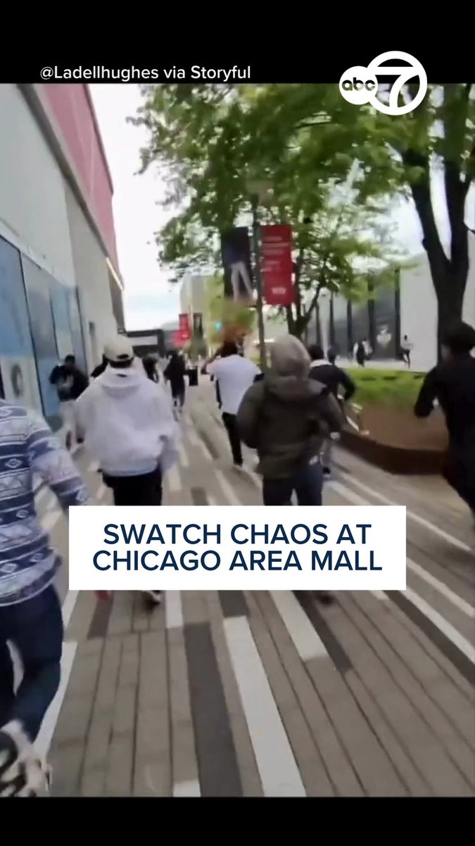 Hundreds lined up at the Oak Brook Center Mall for a Swatch and Audemars Piguet Royal Pop Collection pocket watch, causing the store to decide to close for the day. A large number of police vehicles could be seen at the mall.