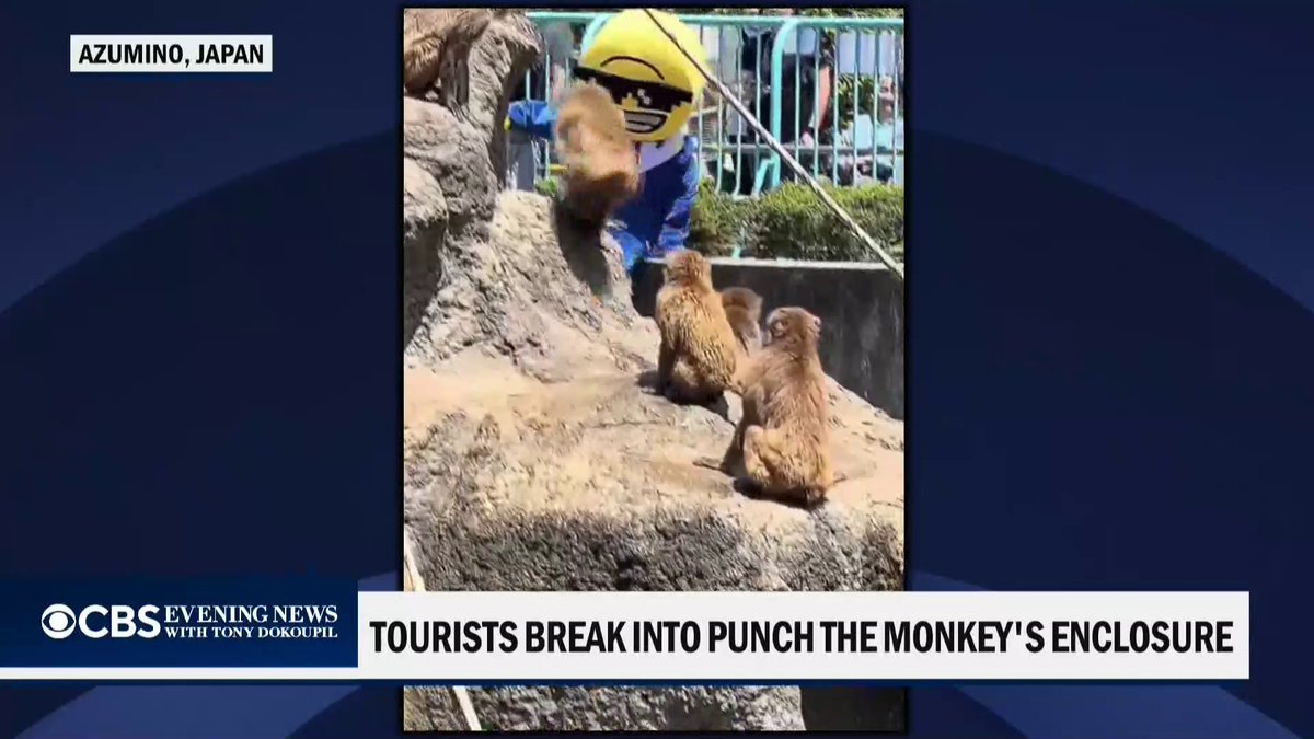 Two American nationals were arrested in Japan after one of them entered the monkey enclosure at a zoo where a baby macaque named Punch became a global internet sensation earlier this year. All the monkeys are OK.
