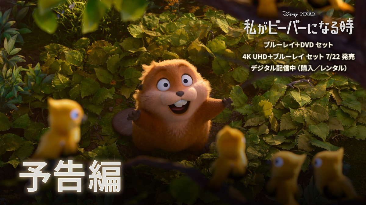 #ディズニーピクサー が贈る 究極の“もふもふ”アドベンチャー🦫💫 ≪🚀7/22 発売❤️≫ 『#私がビーバーになる時』 ◎ブルーレイ＋DVD セット ◎4K UHD＋ブルーレイ セット 動物たちが住む森を守るため メイベルが挑むミッションは ❝ビーバー❞になること⁉