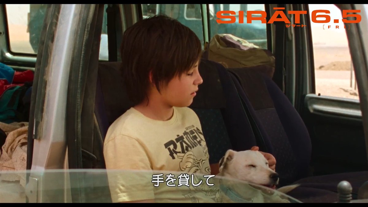『#シラート』犬が物語を動かす本編シーンが解禁🎊#カンヌ映画祭 パルムドッグ特別審査員賞受賞の“演技派”犬🐶6月5日公開！ #アカデミー賞