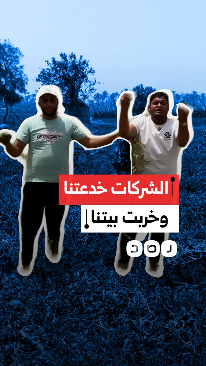 "خسارة 50 فدانا".. شكاوى مواطن من شركات بذور تقاوي البطيخ بكفر الشيخ