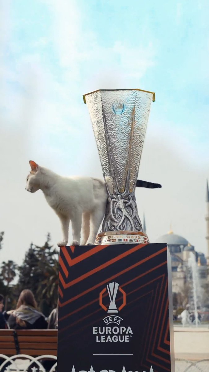 Türkiye hazır, İstanbul hazır, biz hazırız!🇹🇷 #UELfinal