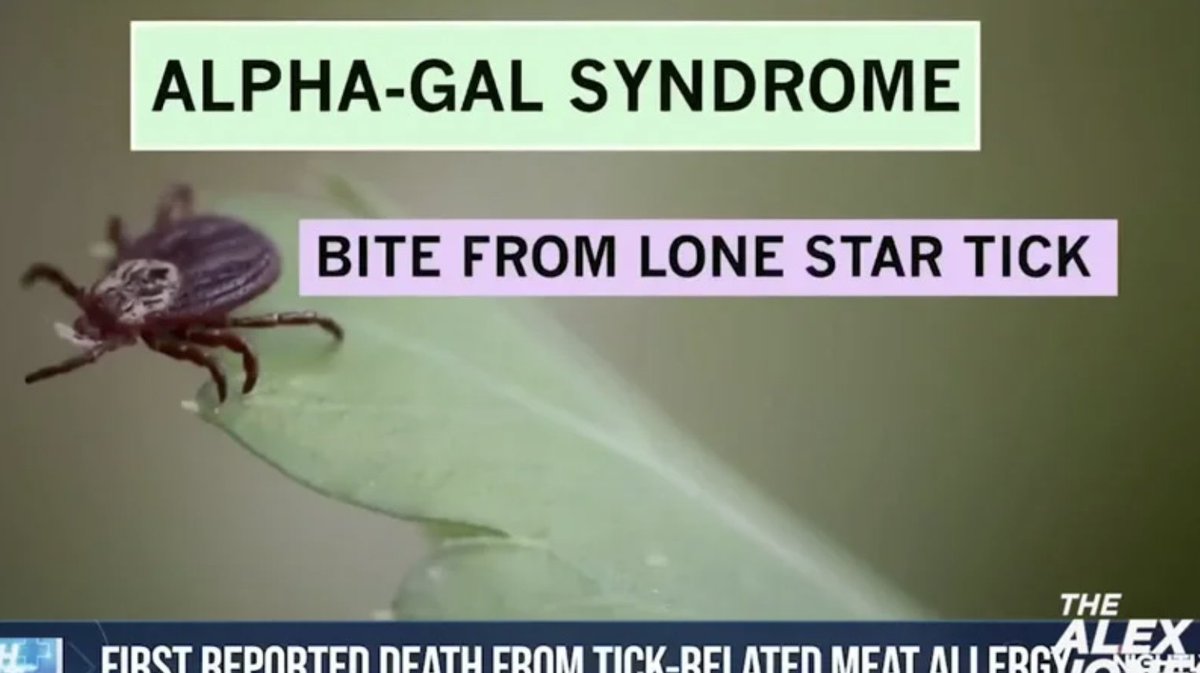 From Military Labs to Billions in Profits: Tick Weaponization Vaccine Scam Amid the chaos over tick infestations, pharmaceutical giants are fast-tracking lyme disease vaccines. » ʙʀᴇᴀᴋɪɴɢ ɴᴇᴡs + ᴇxᴄʟᴜsɪᴠᴇ ʀᴇᴘᴏʀᴛs: