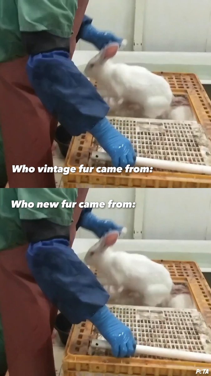 Can you spot the difference? 😖 Whether it’s right off the rack or thrifted, ALL fur comes from animals who were abused, killed, and hacked apart. Fur 👏 Is 👏 A👏 Symbol 👏 Of 👏 Violence 👏