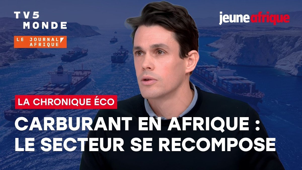 C’est un bouleversement majeur dans le paysage africain de la distribution de produits pétroliers raffinés. Leader incontesté pendant des années, TotalEnergies cède son trône à Vivo Energy. Le poids lourd britannique, dirigé par Stan Mittelman a dépassé pour la première fois, l’an dernier, le géant tricolore en volumes de carburant vendus en Afrique. Thibaud Vadjoux, journaliste économie à Jeune Afrique, analyse ce bouleversement dans sa chronique diffusée dans le JT Afrique sur TV5 Monde.