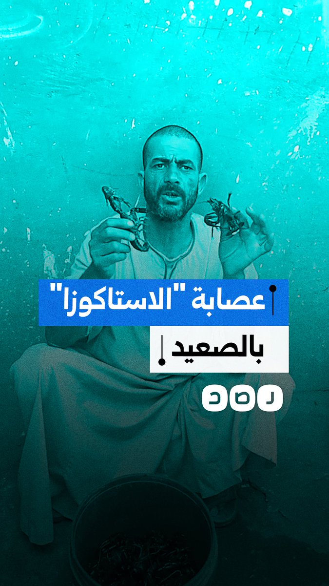 استغاثة صياد في المنيا من احتكار تجارة الاستاكوزا في الصعيد