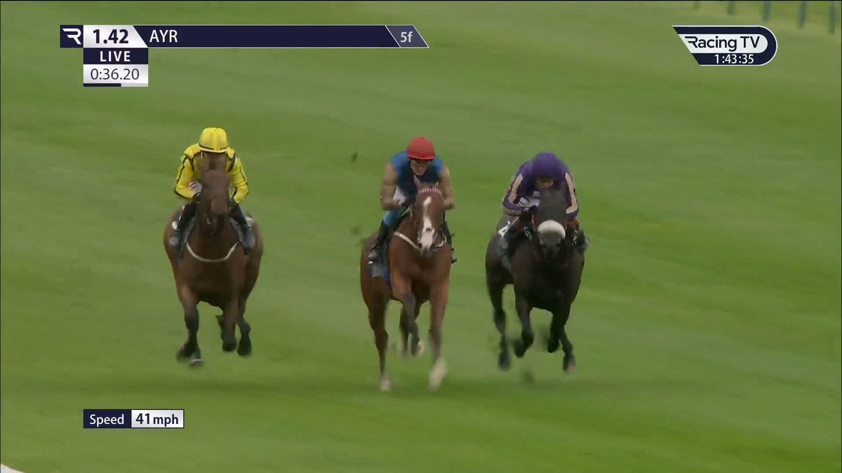 Successful debut ✅ 550,000gns purchase Ruler's Pride (Mehmas) makes a winning start for Karl Burke, Wathnan Racing and Clifford Lee Ayr Racecourse