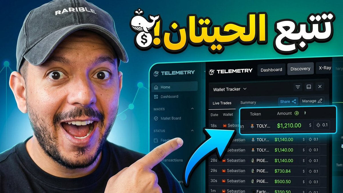 هذا الفيديو لأي شخص مهتم بأيجاد محافظ الحيتان و تتبعها بأسلوب بسيط نفتح امامك المجال لتكتشف وتصنع اسلوبك الخاص وتبدأ في جني الأرباح