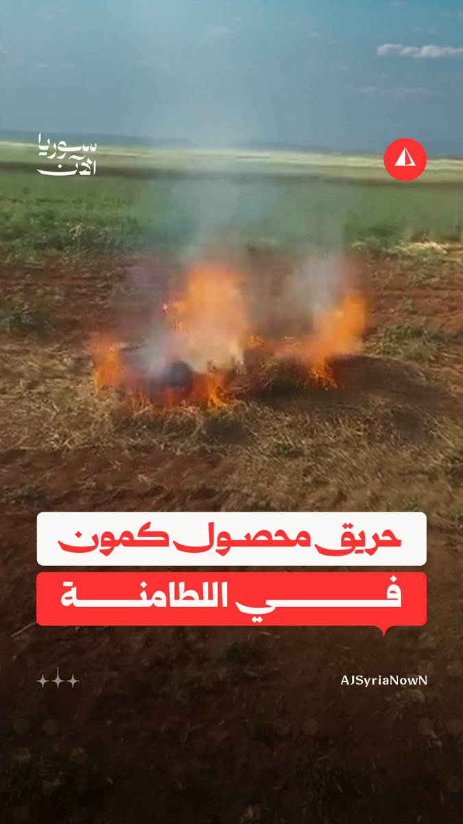 تعب موسم كامل انتهى بالنار.. مزارع من اللطامنة يحرق محصول الكمون بعد حصاده نتيجة خلوّه من الحبوب #متداول