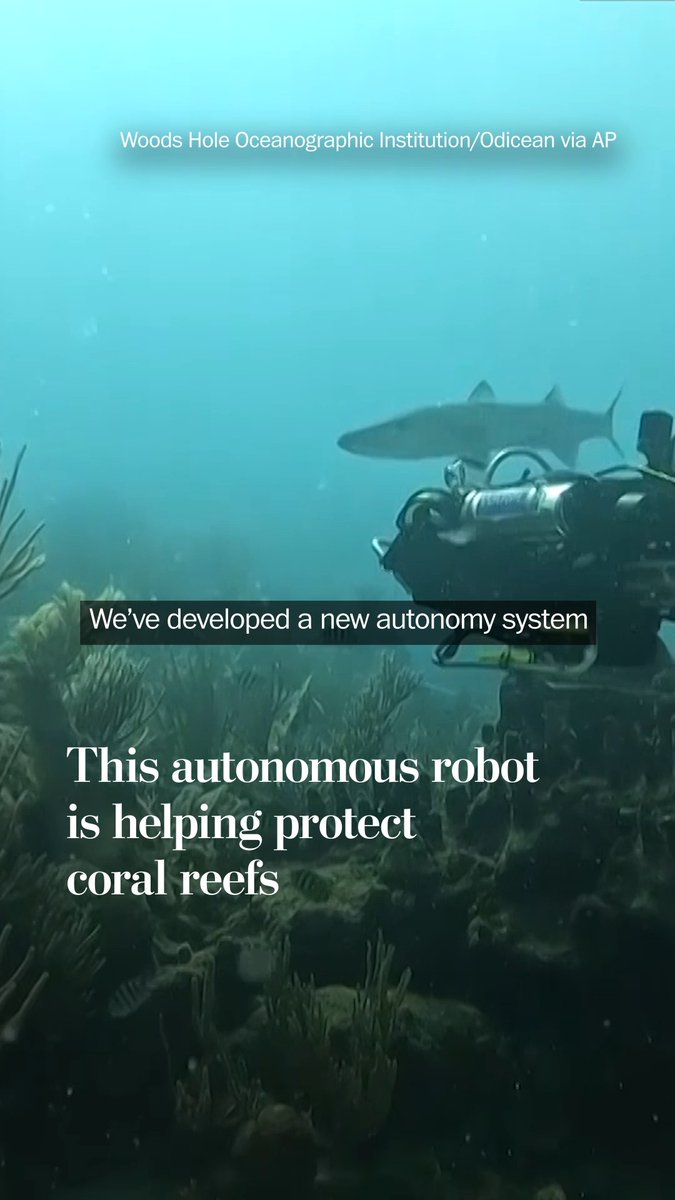 Scientists at the Woods Hole Oceanographic Institution in Massachusetts are developing a robot that they say will help protect coral reefs. The aim is for the robot to inform decision-makers on where to focus conservation resources, according to the study authors.