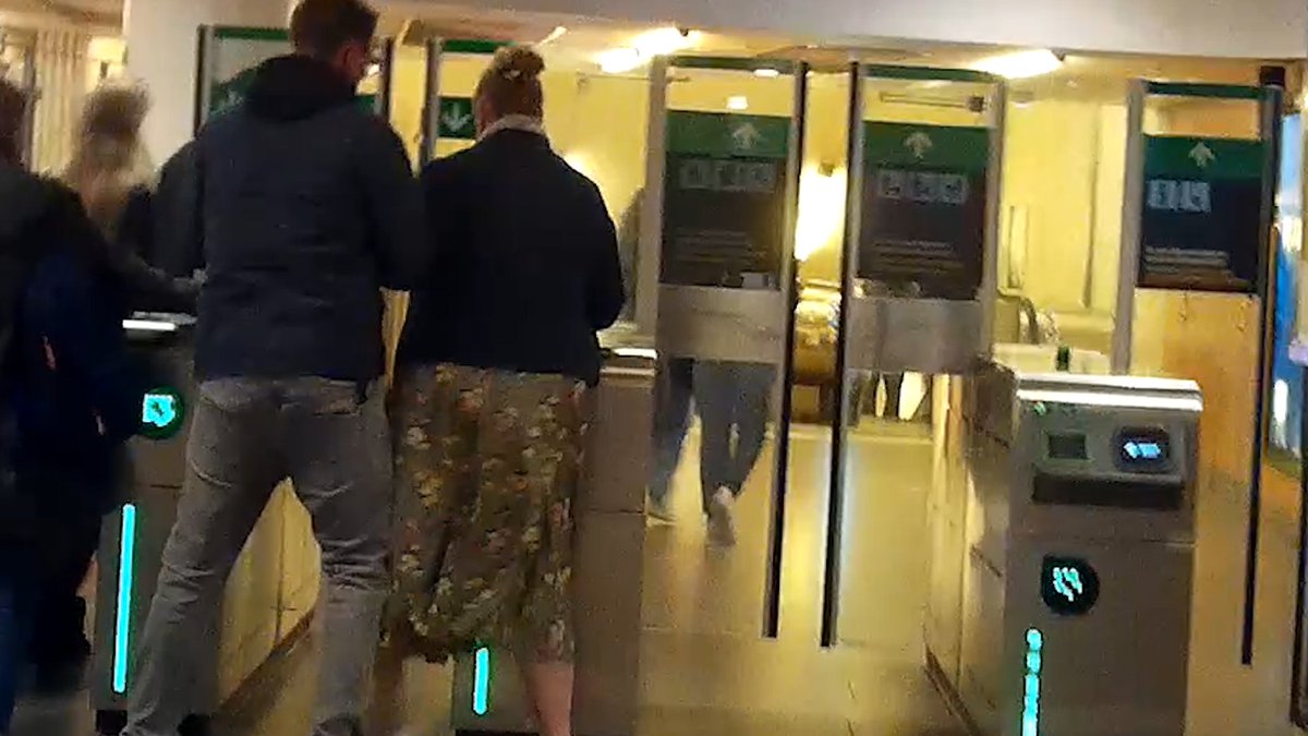 Enya Lindholm, praktikant vid Vänsterpartiets riksdagskansli, försökte upprepade gånger hindra mig i tunnelbanespärren. Till slut tvingades min vakt ingripa. 🔗 Läs mer: