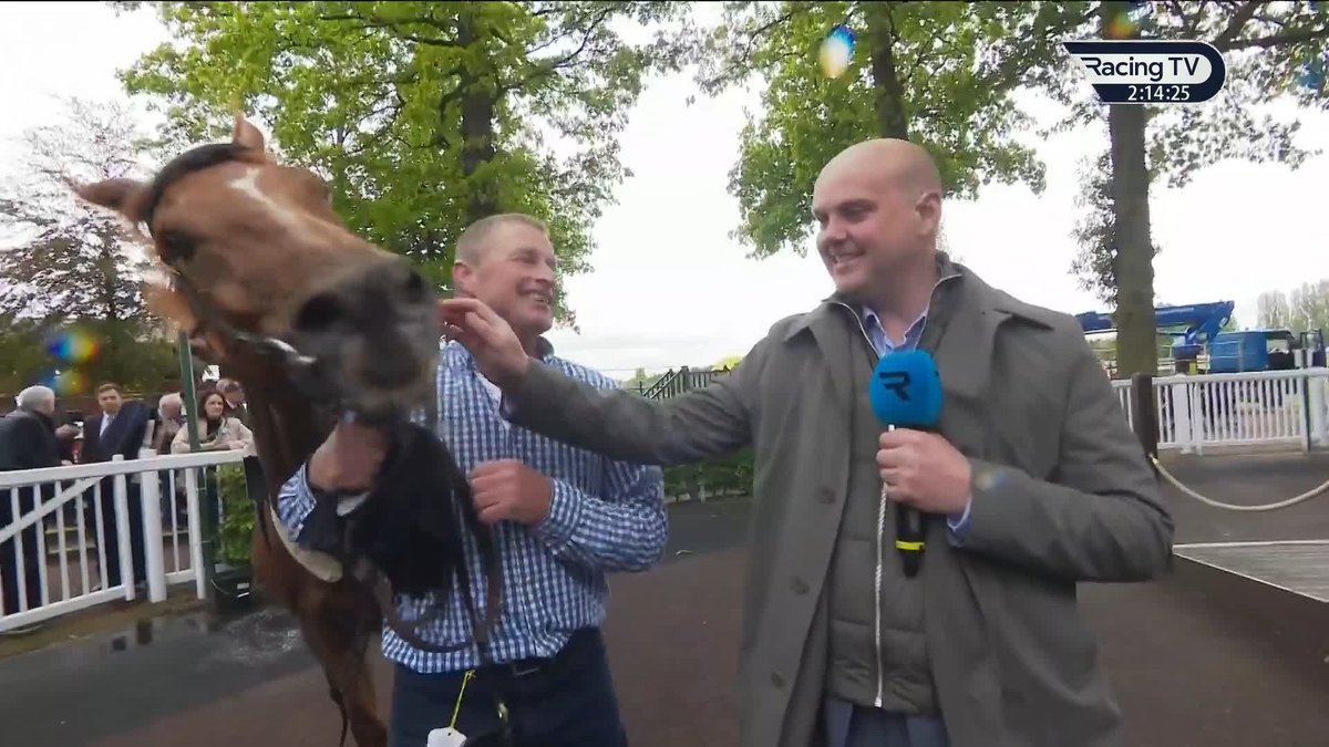 Wholesome interview alert 🚨 Torcello (featuring his trainer shaun lycett) reflects on his Haydock Park Races win! 🥰❤️