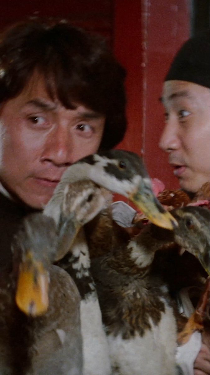 Jackie doesn't duck around 🦆 🎞️ DRUNKEN MASTER II (1994) out next month on Limited Edition 4K UHD on Jackie's Breakout Hits boxset.