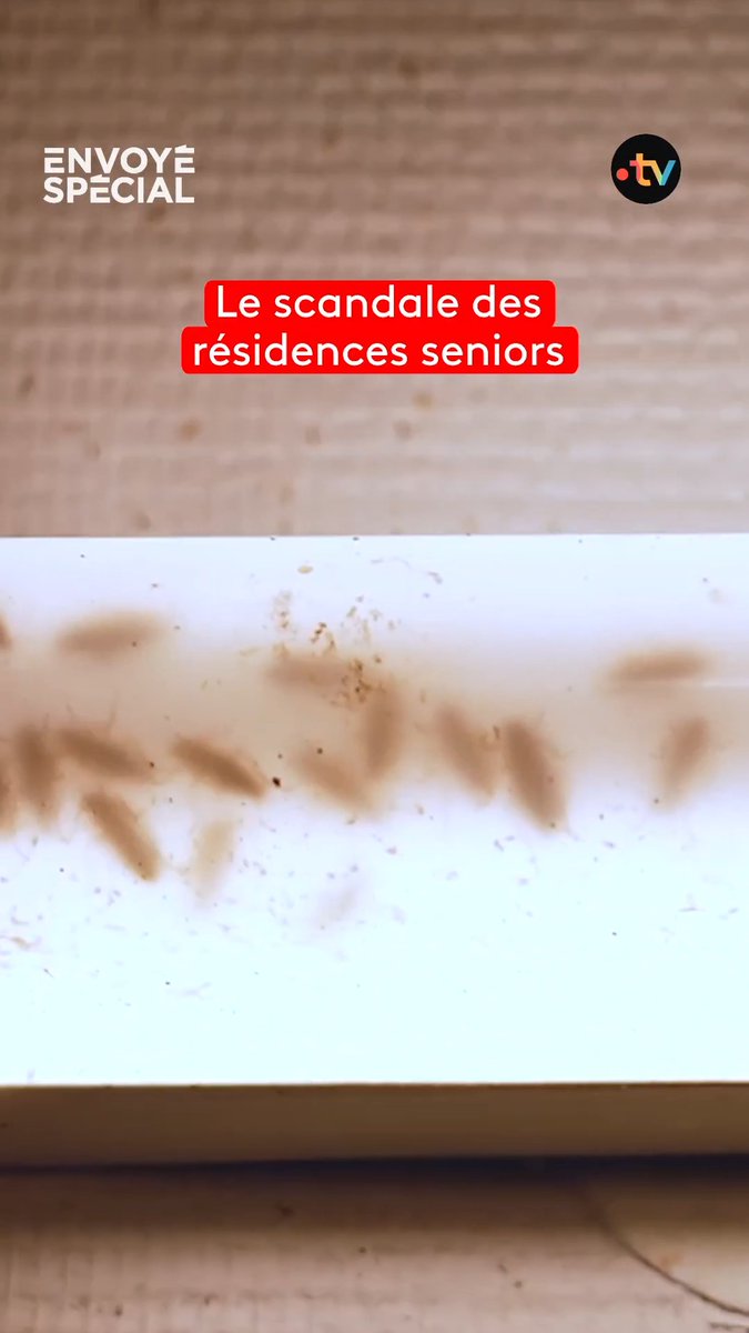 🔴 Cafards, rats, insalubrité… Dans cette résidence gérée par la Ville de Paris, les seniors vivent un véritable cauchemar. Une enquête glaçante sur l’abandon des plus fragiles. 📺”Appartements seniors : scandale à huis clos“ ⏯️ le reportage, c’est ce soir dans #EnvoyéSpécial