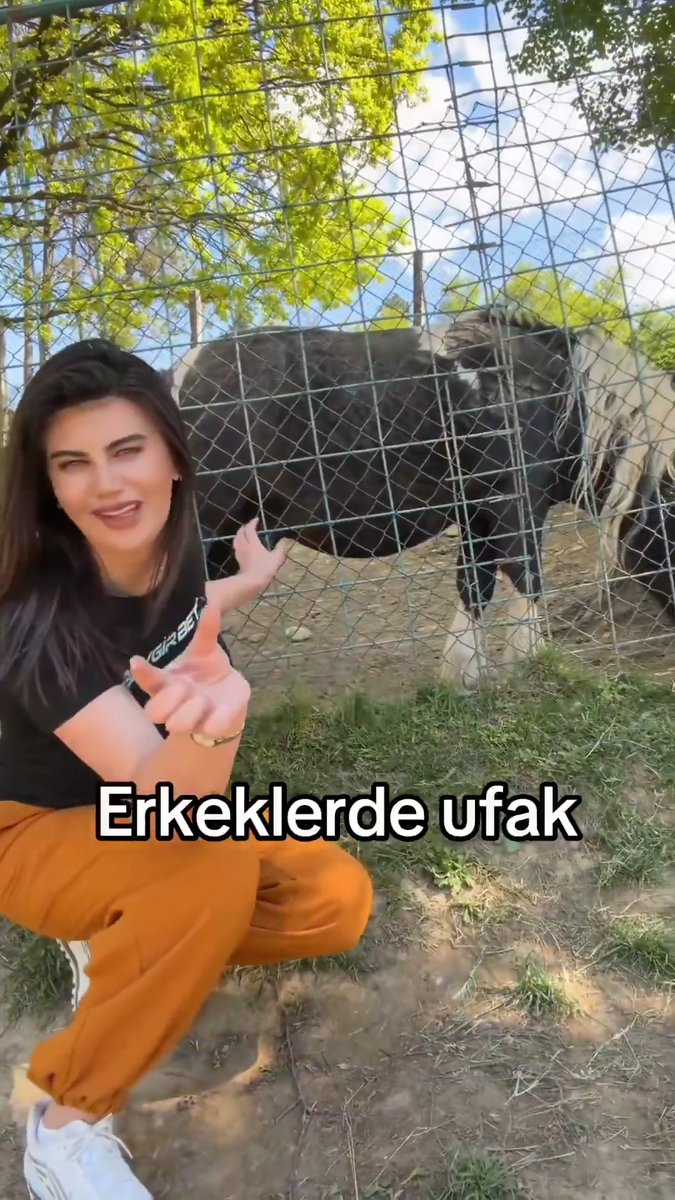 ''Erkekler bana yetmiyor, bana at lazım.'' diyen kadın sosyal medyada gündem oldu