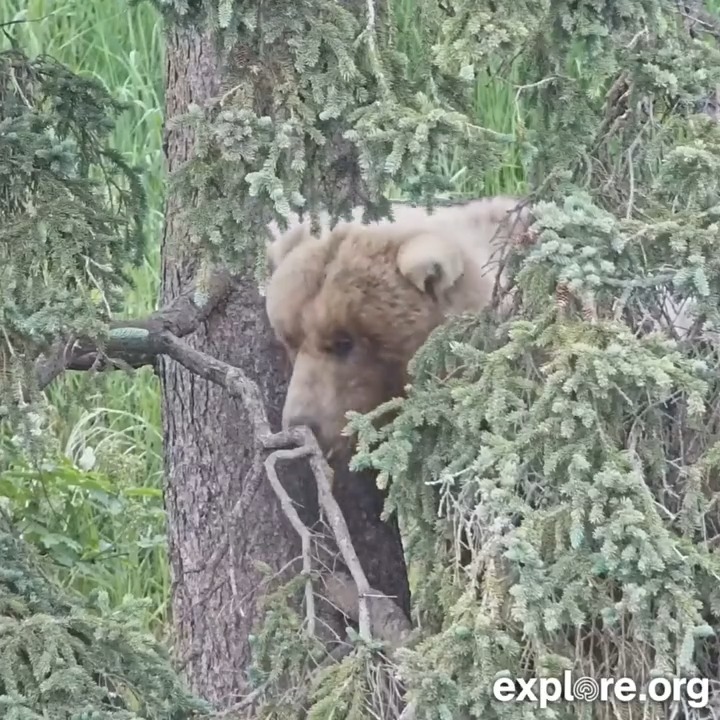 We heard one of our faves has been spotted at the national park 👀