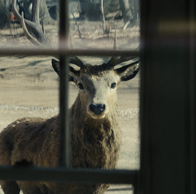 You’ll know soon enough. Disclosure Day only in theaters 06.12.26.