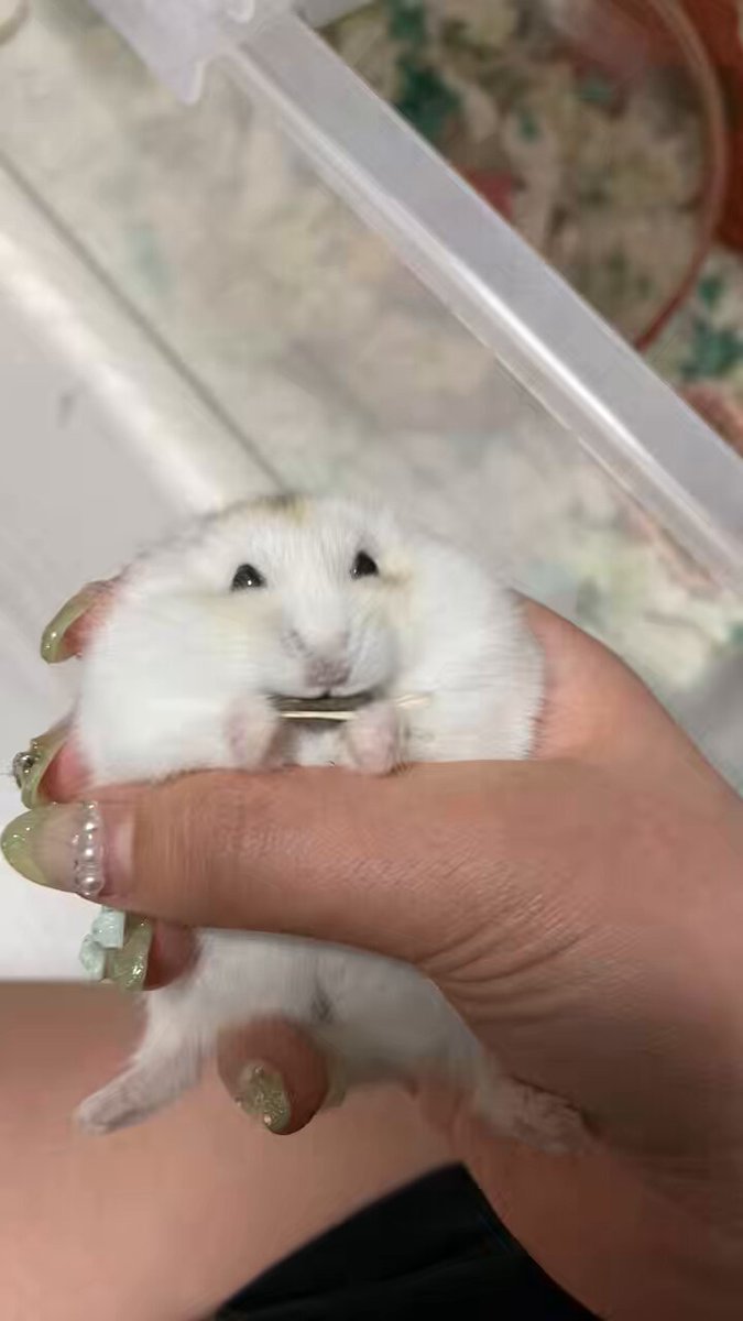 警戒心どこに置いてきたん…あんたまだ生まれて2ヶ月だよ