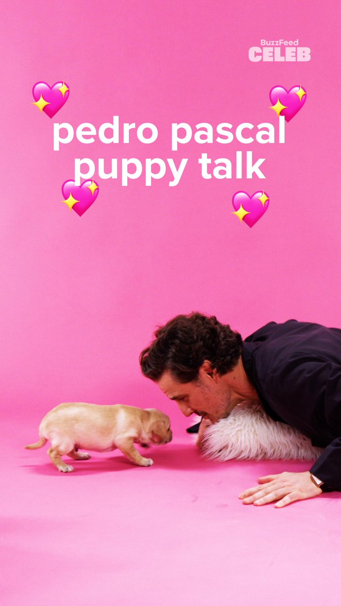Pedro Pascal's puppy talk IS my love language 🐶💕 #pedropascal #themandalorianandgrogu #puppyinterview Watch the full video here: