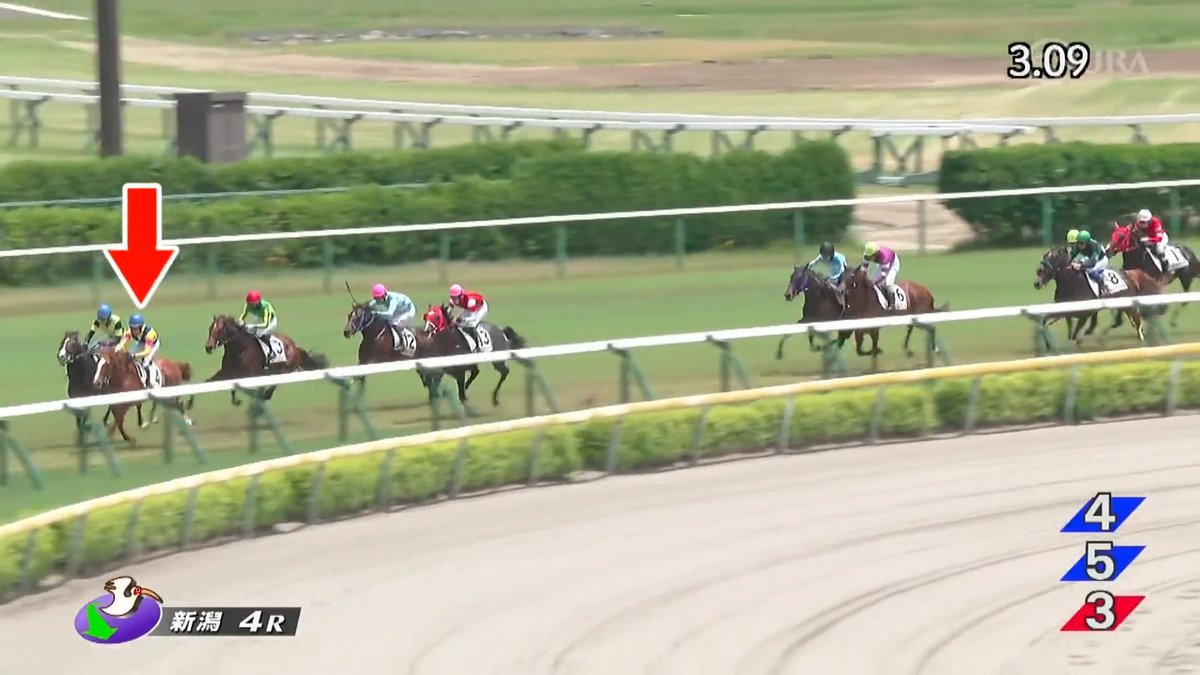 【#コレペティトール が障害競走を2連勝】 京都金杯(GⅢ)で重賞勝ちの実績がある、コレペティトールが7馬身差の圧勝🎉