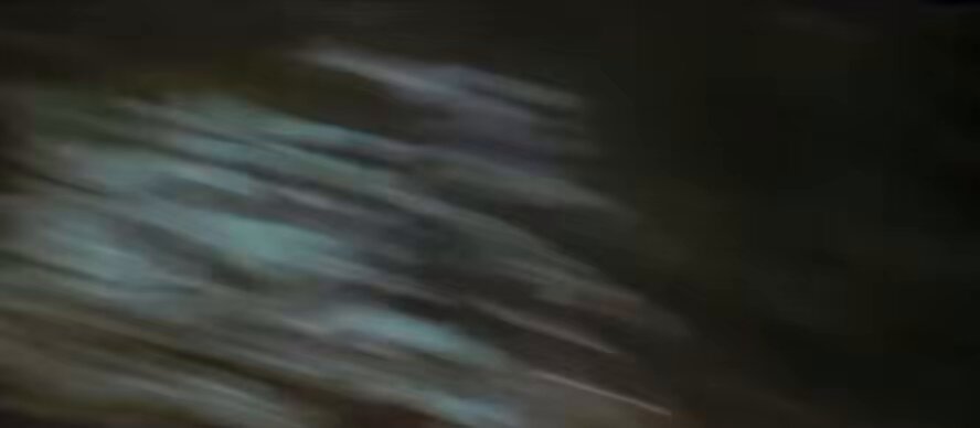 The campers from the dbd livestream