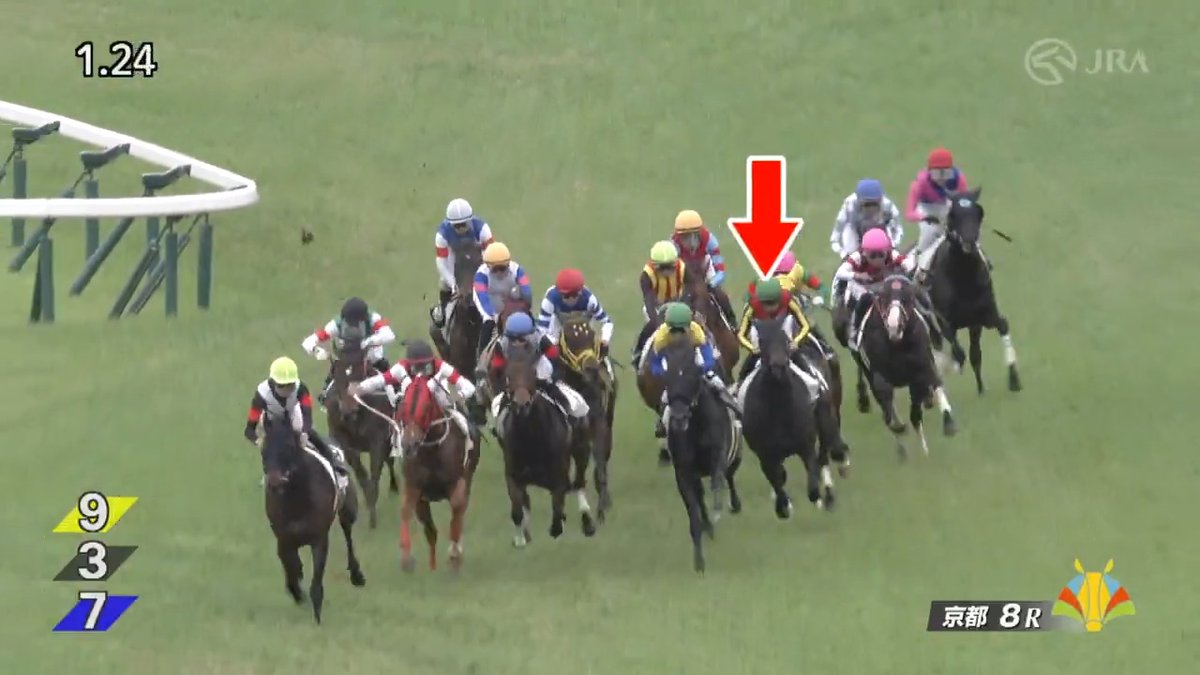 【#リバティアイランド の妹が差し切り勝ち⭐】 三冠牝馬リバティアイランドの妹 #マディソンガール が大接戦を制して惜敗続きにピリオドを打つ待望の2勝目を挙げました🏇 ー 京都8R・4歳以上1勝クラス 芝1800m ー
