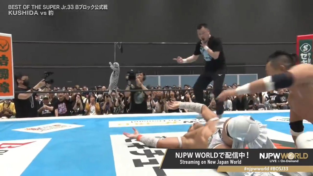 Another reason why no one will ever beat the way wrestling is shot in japan