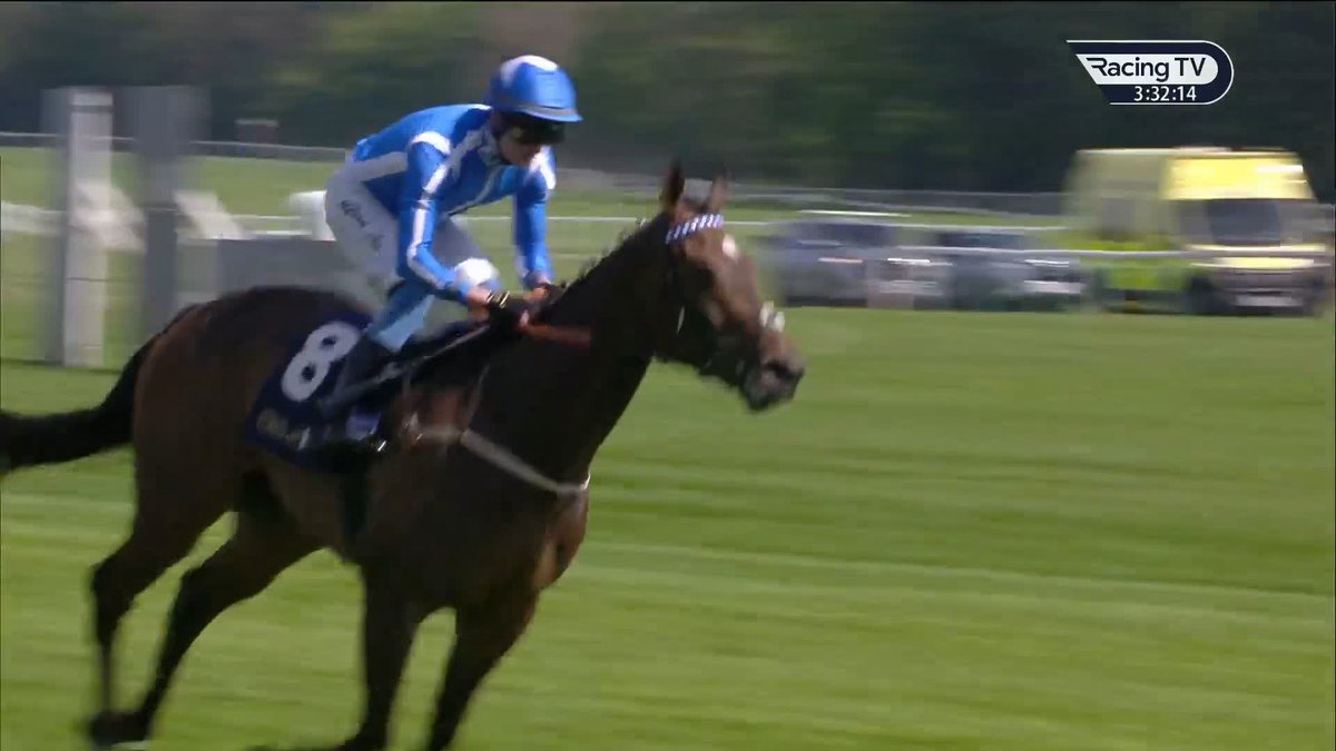 Venetian Sun 🤌 All class in the William Hill Racing Sandy Lane! Haydock Park Races