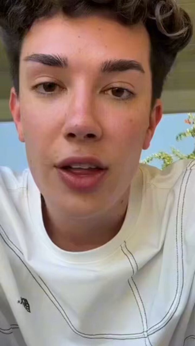 James Charles apologizes again for mocking the Spirit Airline employee who lost her job. Did he just say the quiet part out loud?