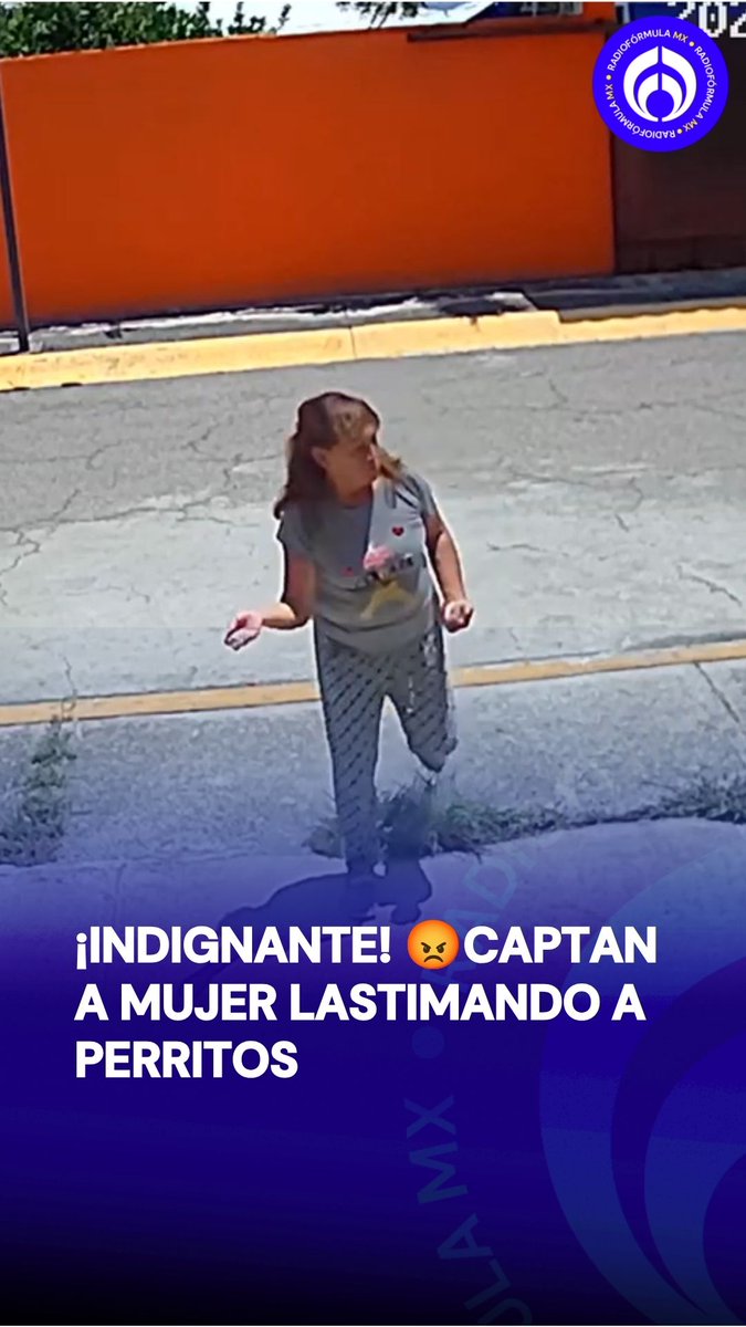 ¡Indignante! 😡Captan a mujer lastimando a perritos: les lanzó piedras y todo quedó grabado en video. 🐶 😔