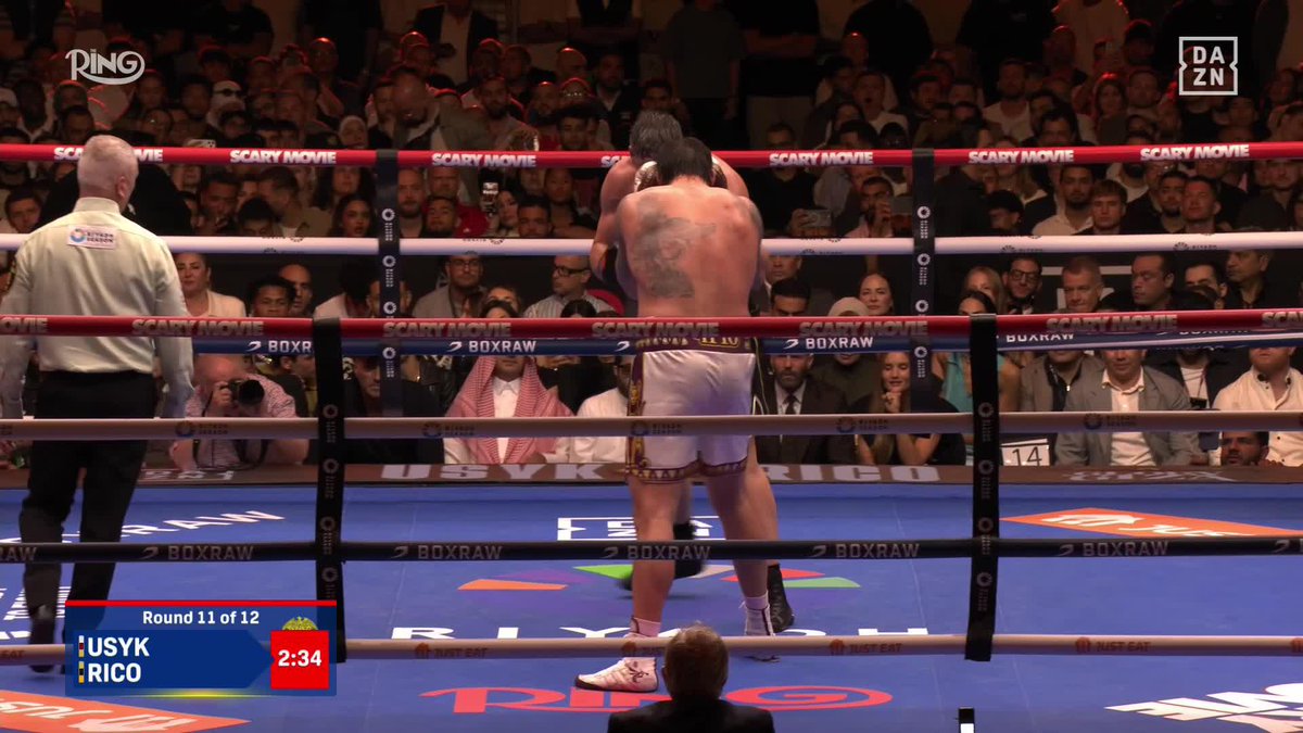 Thoughts on this stoppage? 😱 #UsykRico