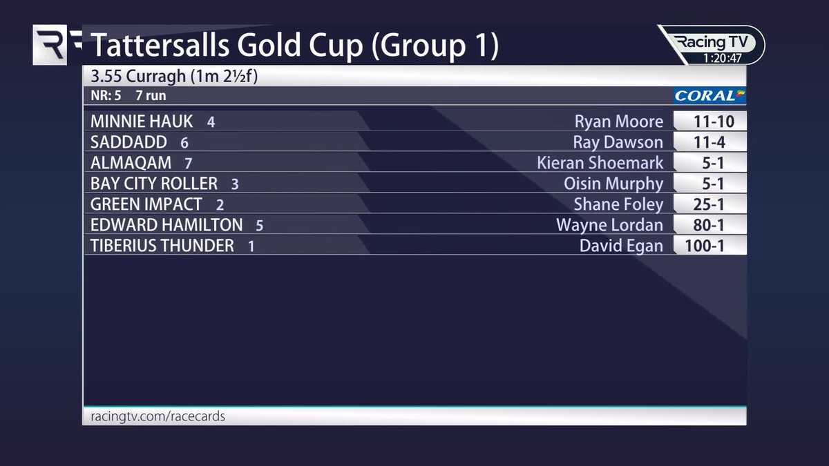 Will Minnie Hauk land the Tattersalls Gold Cup? 🏆 The Curragh Racecourse | Coral